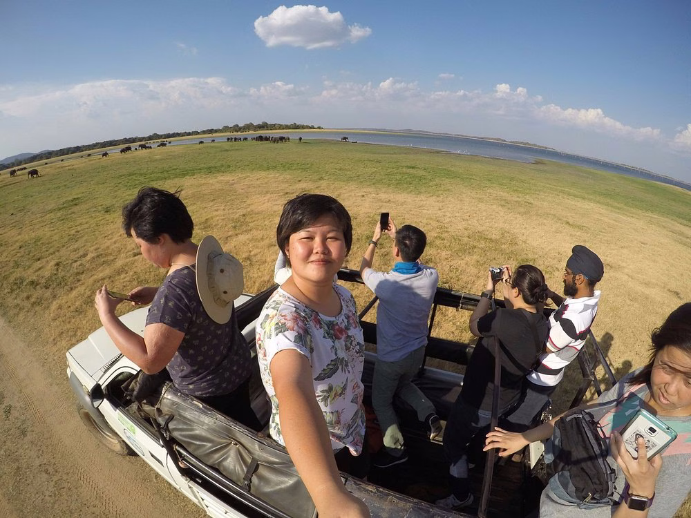 Elephant close-up at Kaudulla